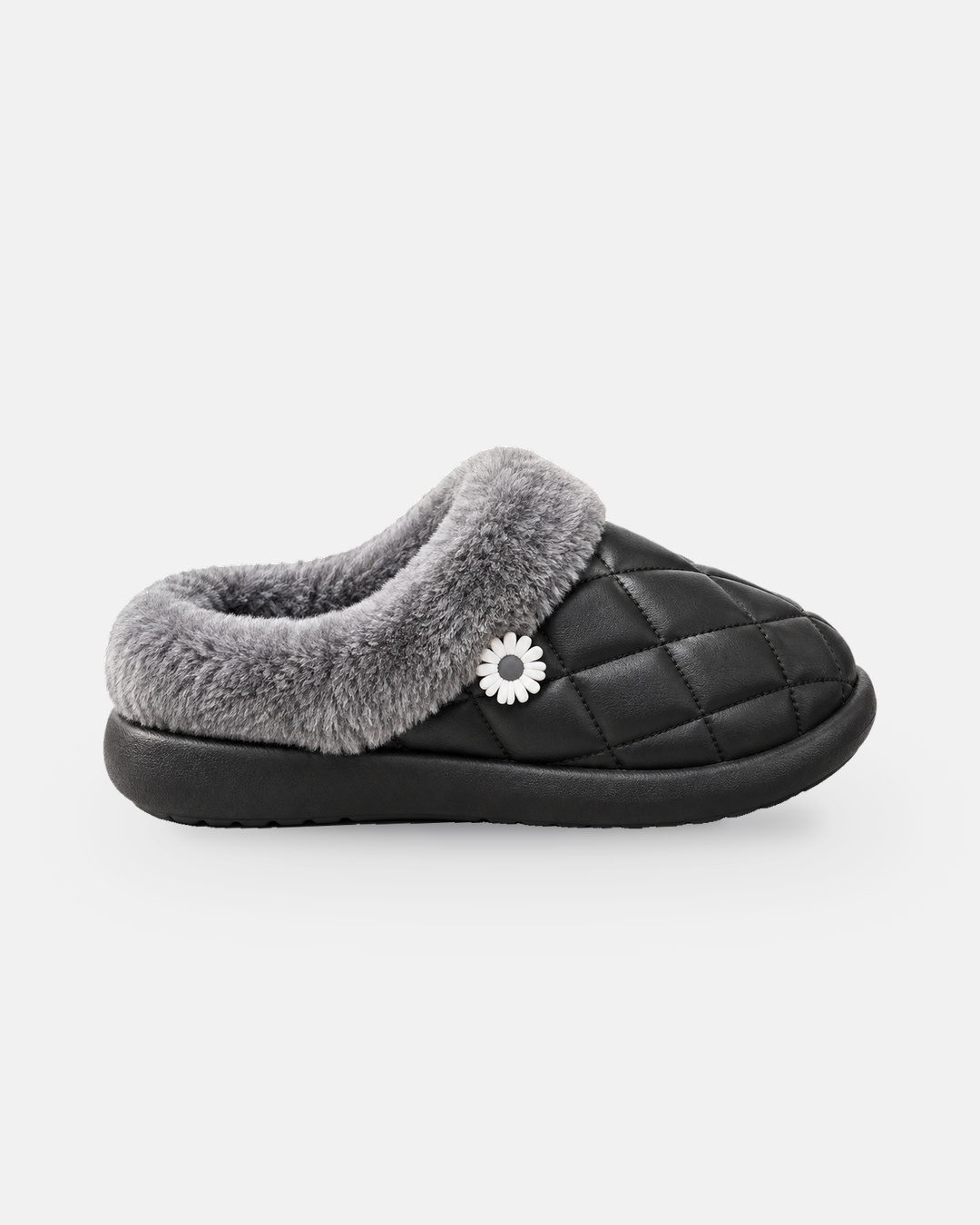 Daisy Mule | BSH-14