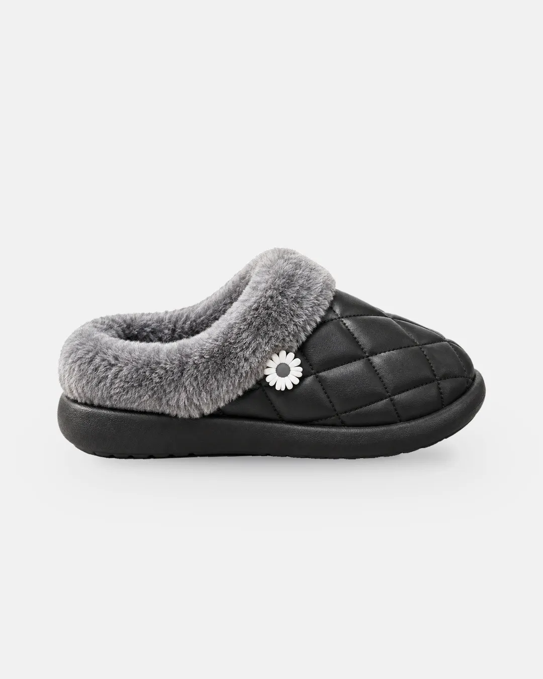 Daisy Mule | BSH-14